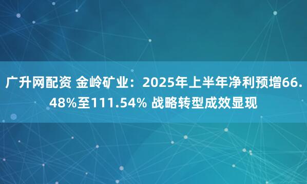 广升网配资 金岭矿业：2025年上半年净利预增66.48%至111.54% 战略转型成效显现