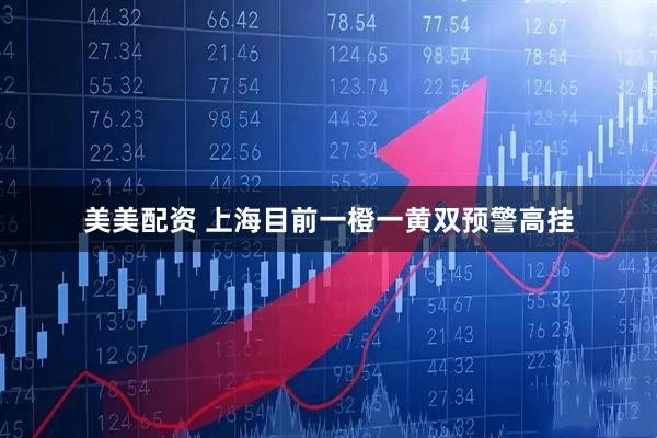 美美配资 上海目前一橙一黄双预警高挂