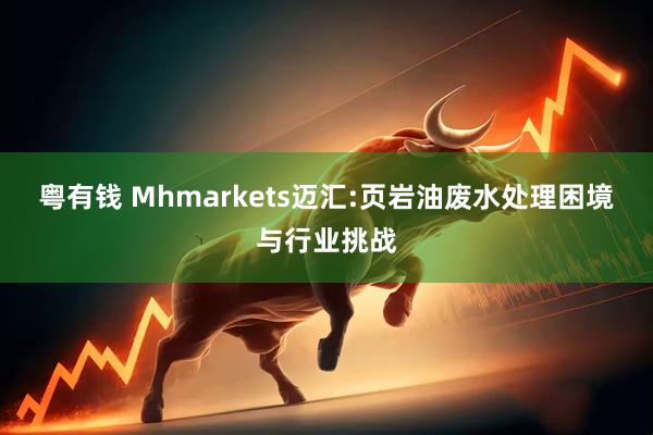 粤有钱 Mhmarkets迈汇:页岩油废水处理困境与行业挑战