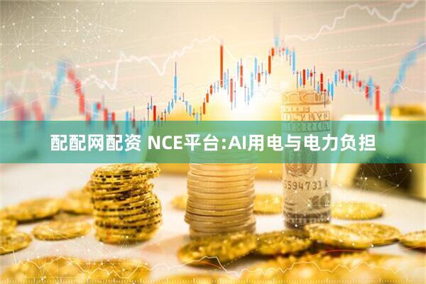 配配网配资 NCE平台:AI用电与电力负担