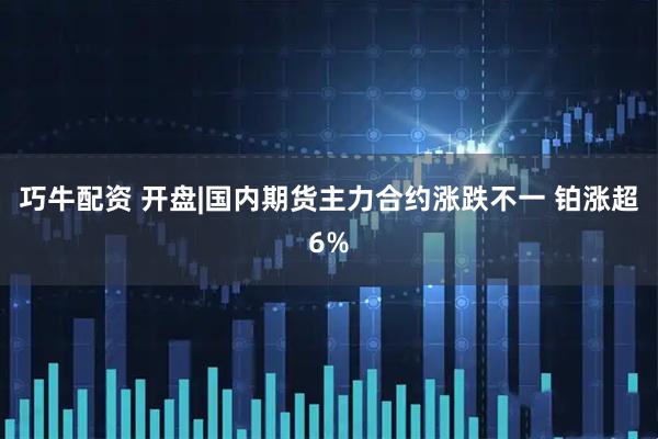 巧牛配资 开盘|国内期货主力合约涨跌不一 铂涨超6%